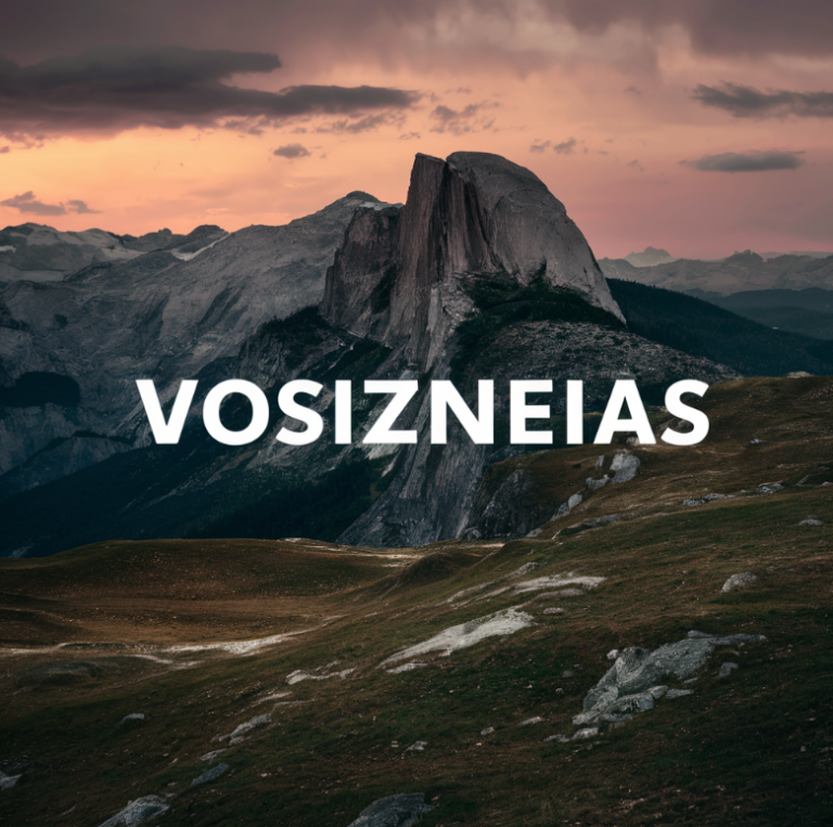 How to Subscribe to Vosizneias Newsletter and Stay Updated with Vosizneias News